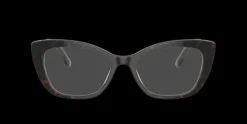 Dolce & Gabbana DG3360>Women Women
