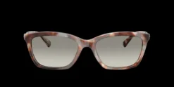 Emporio Armani EA4238>Women Women
