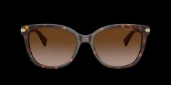 Coach HC8132 L109>Women Women