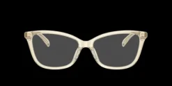 Coach HC6206U>Women Women
