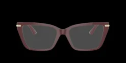 Jimmy Choo JC3002B>Women Women