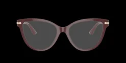 Jimmy Choo JC3001B>Women Women