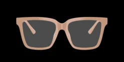 Jimmy Choo JC3040U>Women Women