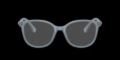 Swarovski SK2002>Women Women