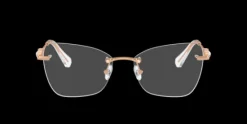 Swarovski SK1014>Women Women