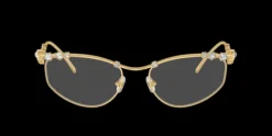 Swarovski SK1015>Women Women