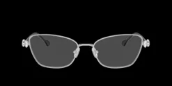 Swarovski SK1006>Women Women