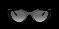 Vogue Eyewear VO5566S>Women Women